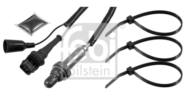 Oxygen Sensor